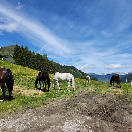Lipphuette Top Lage Mit Traumhafter Aussicht Rauris Exteriör bild