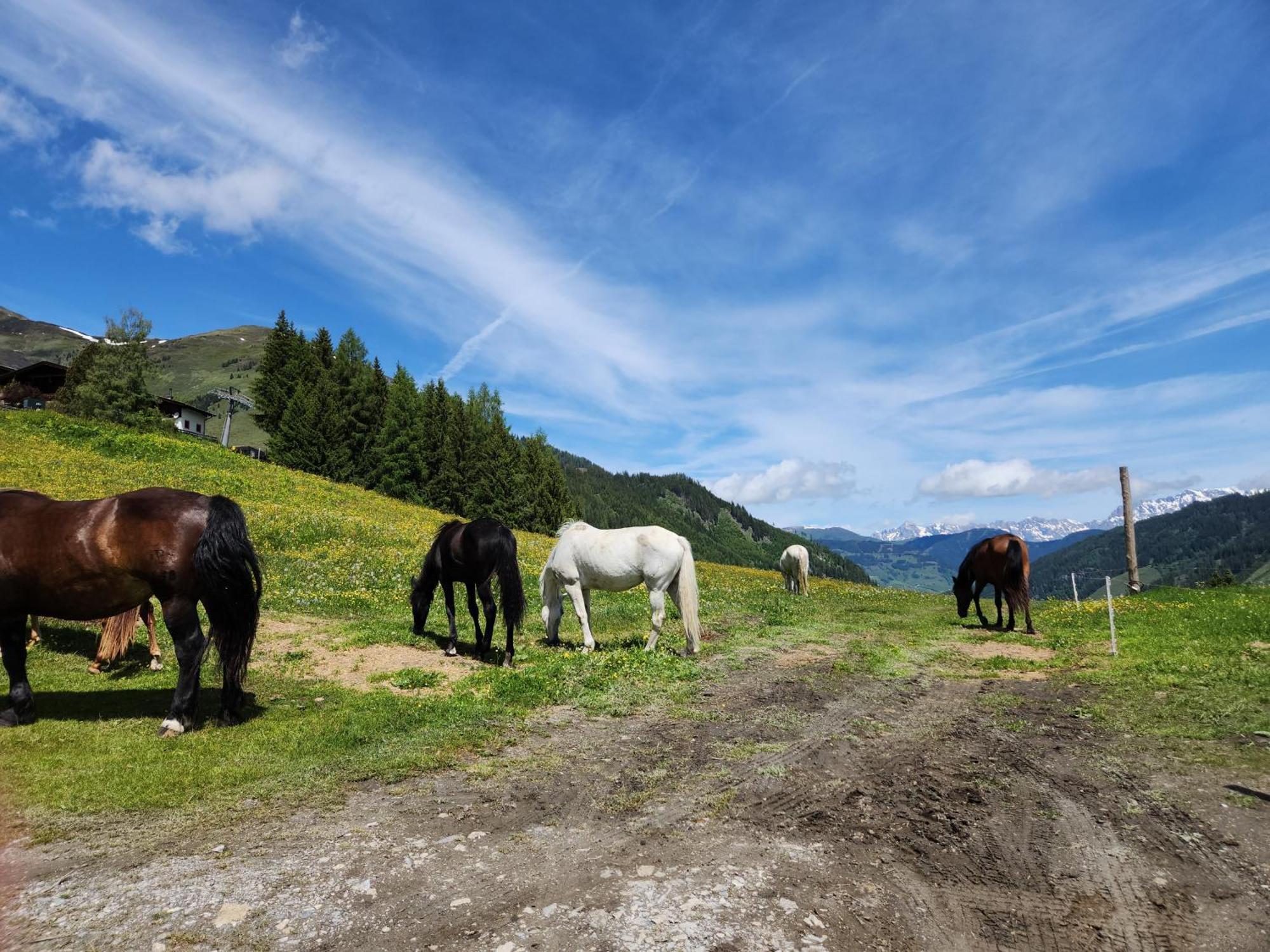 Lipphuette Top Lage Mit Traumhafter Aussicht Rauris Exteriör bild